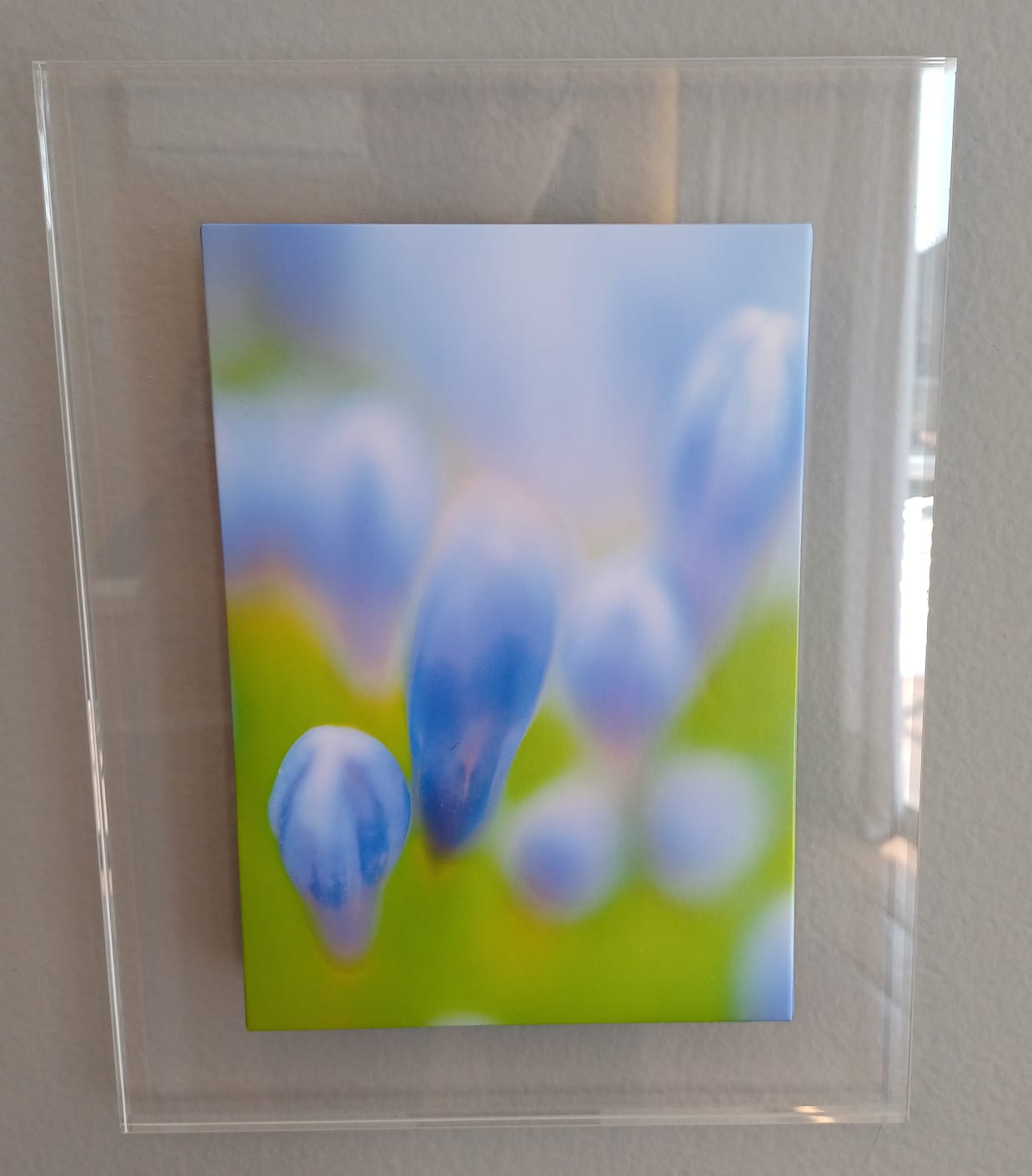QUADRO UNI LIRIO ABSTRATO FLORAL ACRILICO/MDF 32x24x8MM