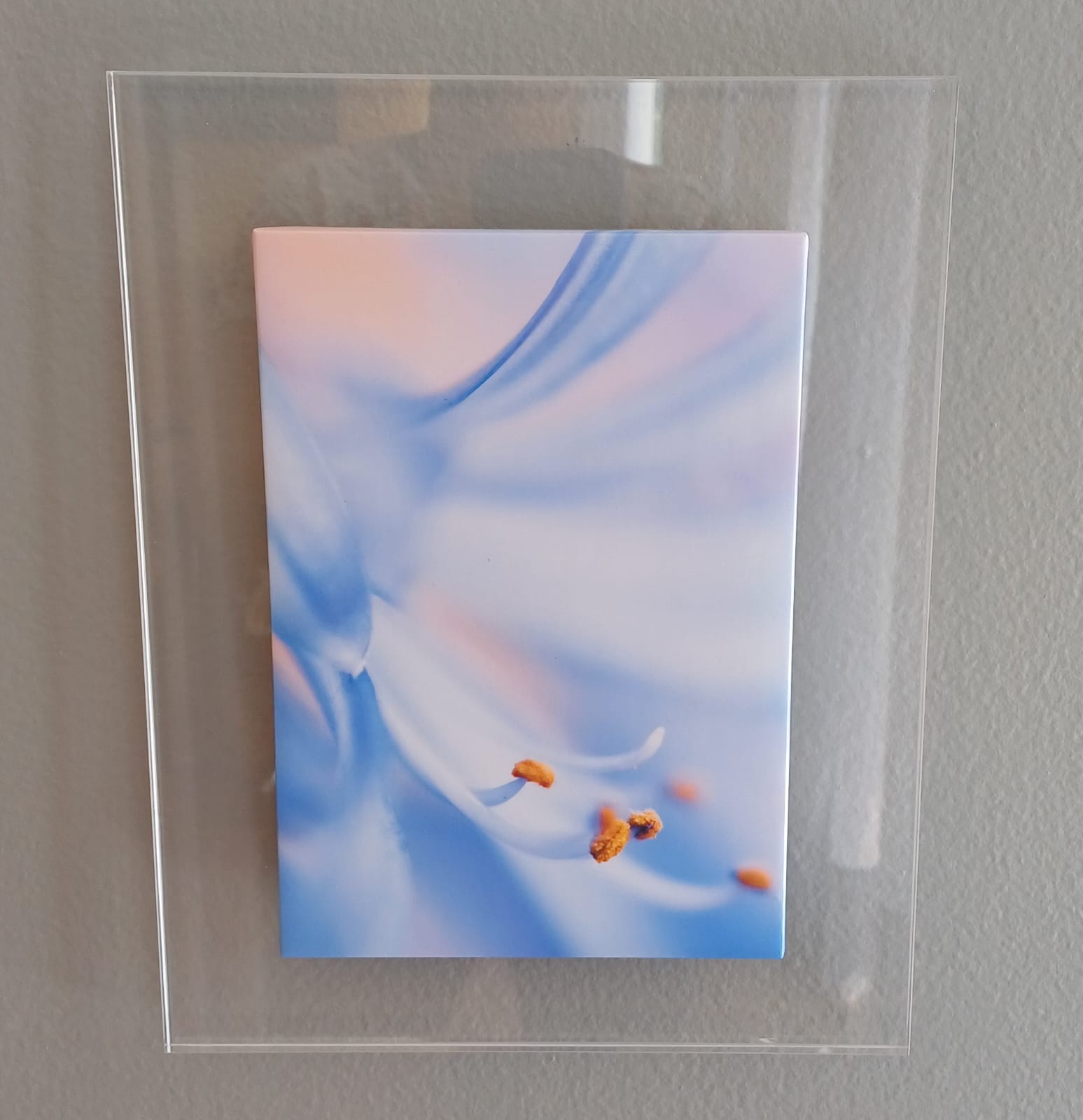 QUADRO UNI LIRIO ABERTO FLORAL ACRILICO/MDF 32x24x8MM