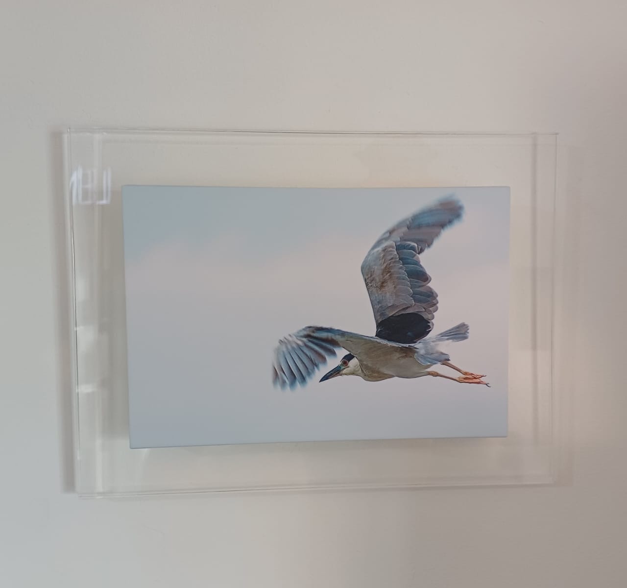 QUADRO UNI PASSARO FLORIPA SOLITUDE 32X24X8MM