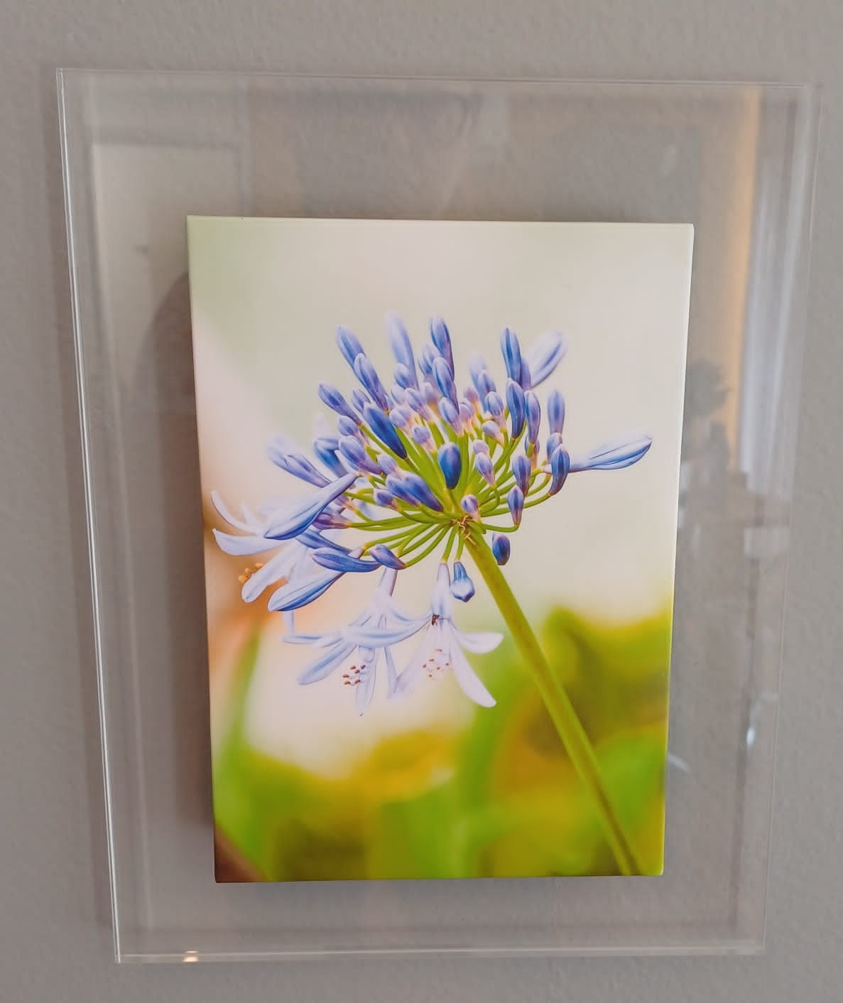 QUADRO UNI LIRIO FLORAL ACRILICO/MDF 32X24X8MM